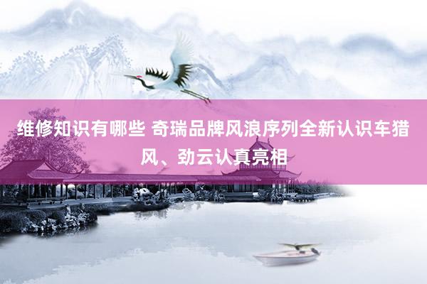 维修知识有哪些 奇瑞品牌风浪序列全新认识车猎风、劲云认真亮相