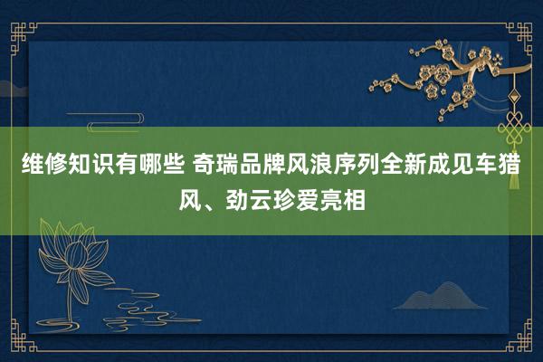 维修知识有哪些 奇瑞品牌风浪序列全新成见车猎风、劲云珍爱亮相