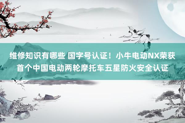 维修知识有哪些 国字号认证！小牛电动NX荣获首个中国电动两轮摩托车五星防火安全认证