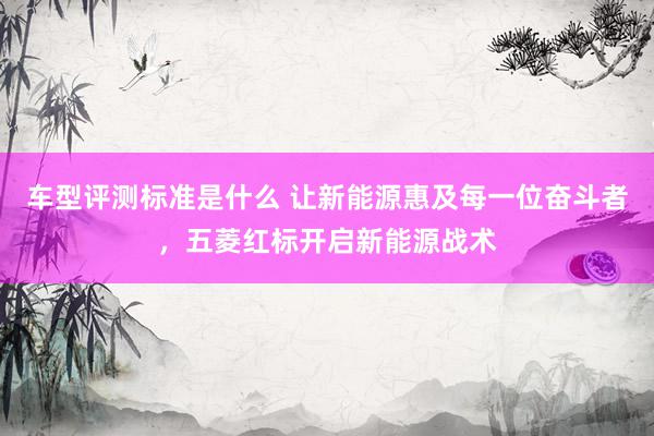 车型评测标准是什么 让新能源惠及每一位奋斗者，五菱红标开启新能源战术