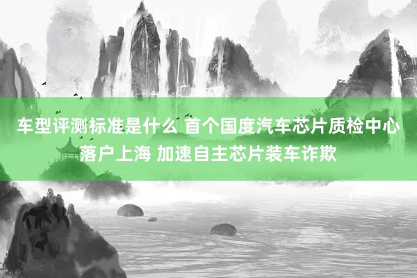 车型评测标准是什么 首个国度汽车芯片质检中心落户上海 加速自主芯片装车诈欺