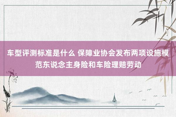 车型评测标准是什么 保障业协会发布两项设施模范东说念主身险和车险理赔劳动