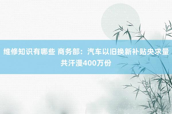 维修知识有哪些 商务部：汽车以旧换新补贴央求量共汗漫400万份