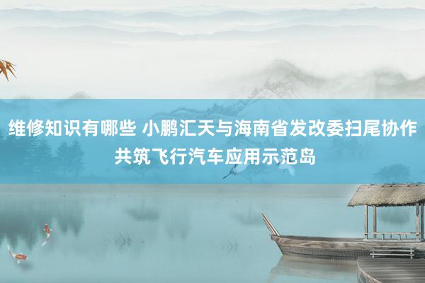 维修知识有哪些 小鹏汇天与海南省发改委扫尾协作 共筑飞行汽车应用示范岛